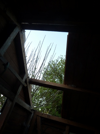 002 (2) (338x450).jpg