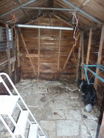 003 (2) (338x450).jpg