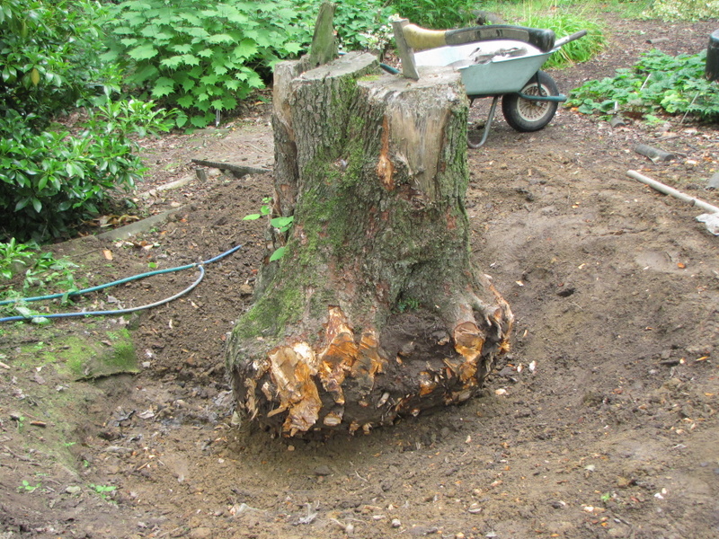 09-Jul-10 10-07-52 AM.JPG