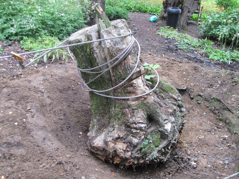 09-Jul-10 10-28-09 AM.JPG