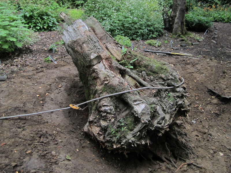 09-Jul-10 10-52-30 AM.JPG