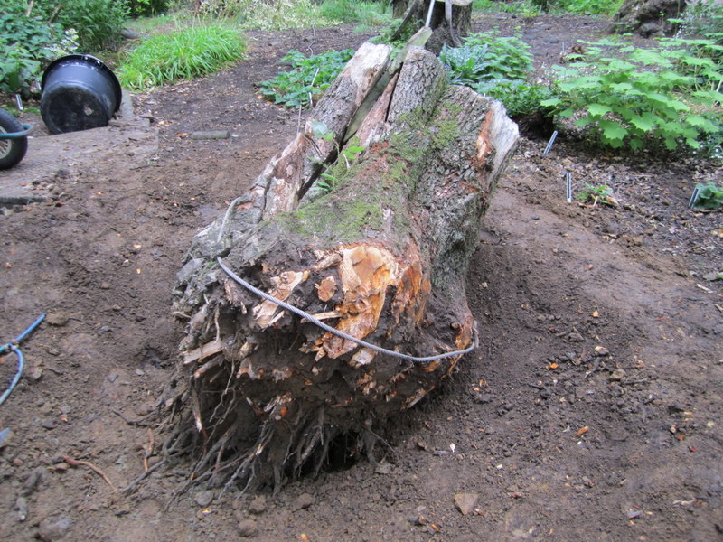 09-Jul-10 10-53-10 AM.JPG