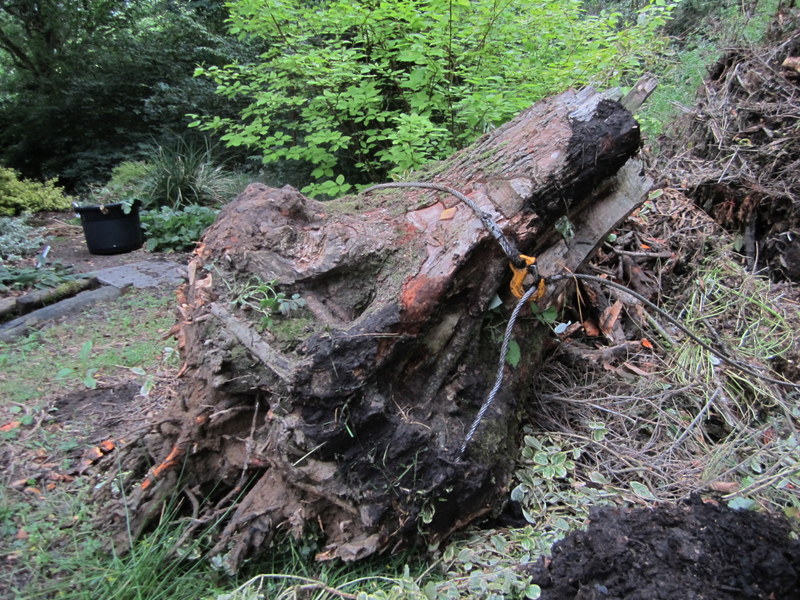 09-Jul-10 12-11-59 PM.JPG