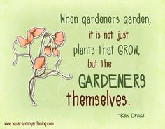 0956ba95d1b15f6da5616e88958bd542--gardening-quotes-the-gardener.jpg
