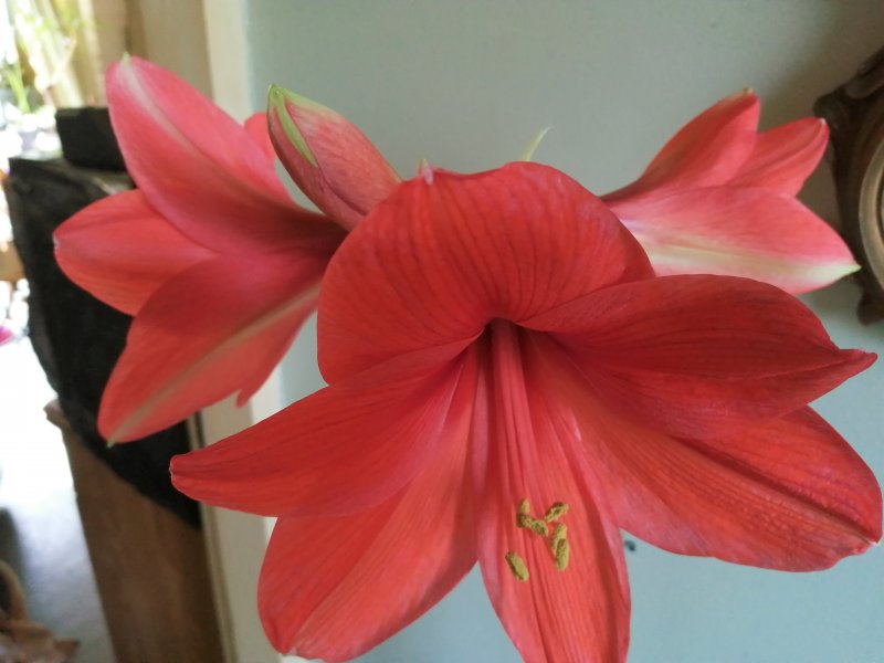 10-03-21 008 (2).jpg