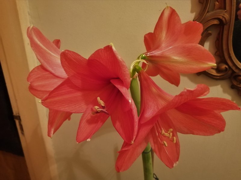 10-03-21 012 (2).jpg