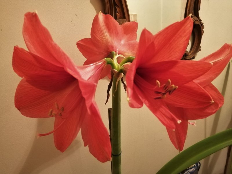 10-03-21 014 (2).jpg