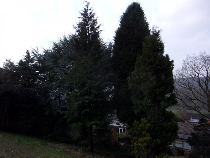 12 March 2022_0002.JPG