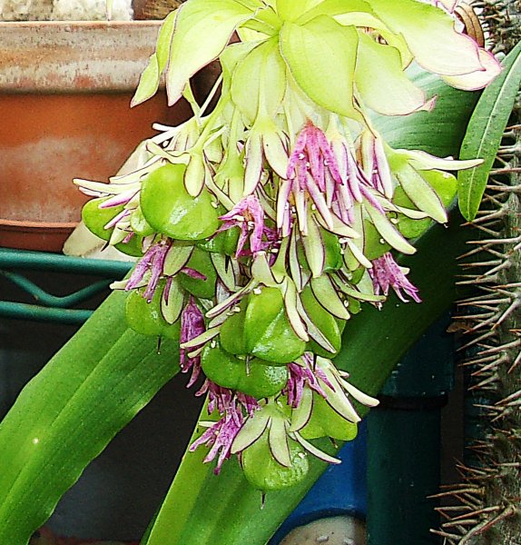 127_7070 - Copy (2).JPG