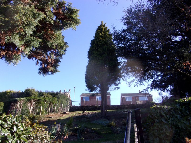 14 March 2022_0001.JPG