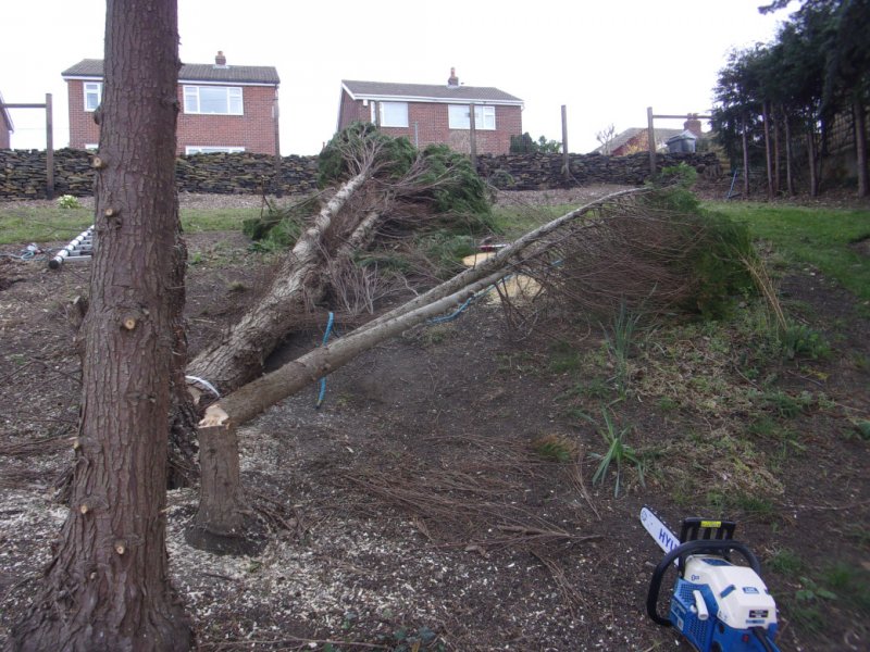 15 March 2022_0001.JPG