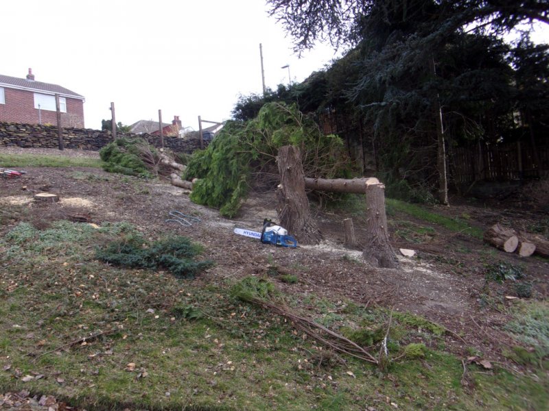 15 March 2022_0004.JPG