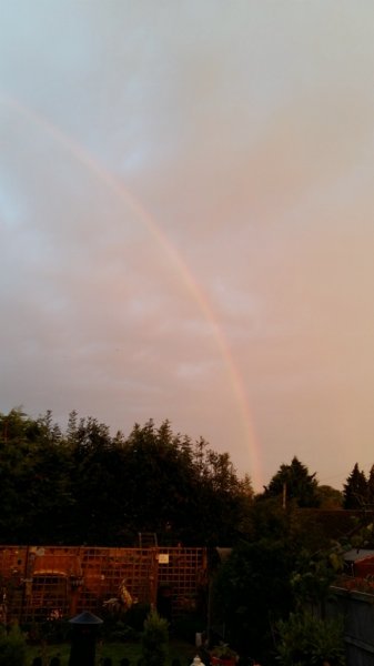 16 October 035 (576x1024).jpg