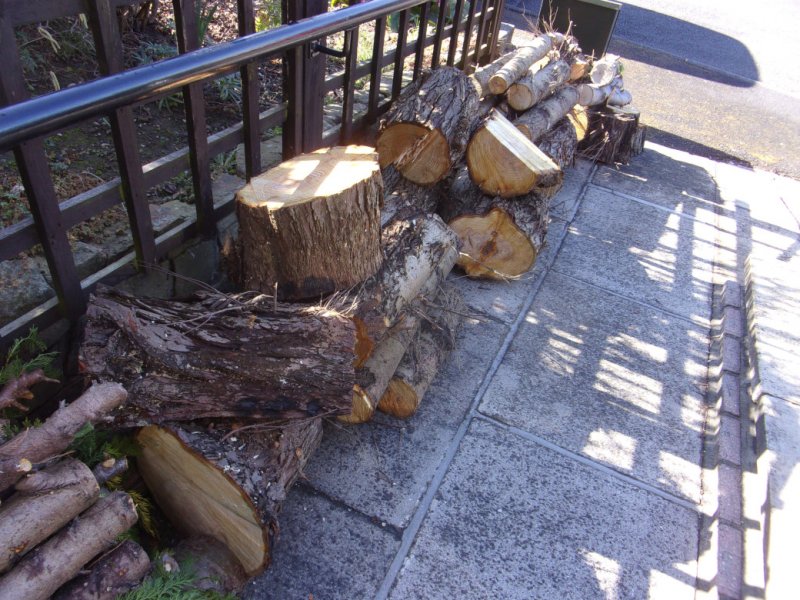 17 March 2022_0006.JPG