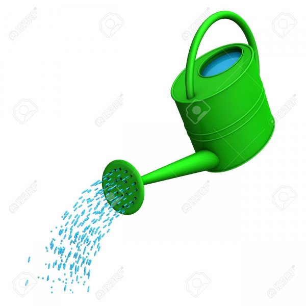 17726519-green-watering-can-on-the-white-background-.jpg