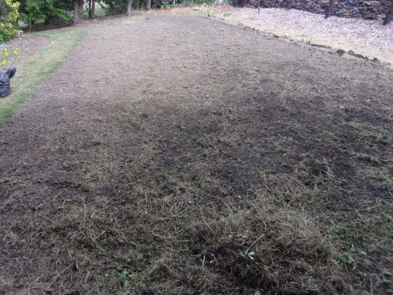 19 August 2021_0001.JPG