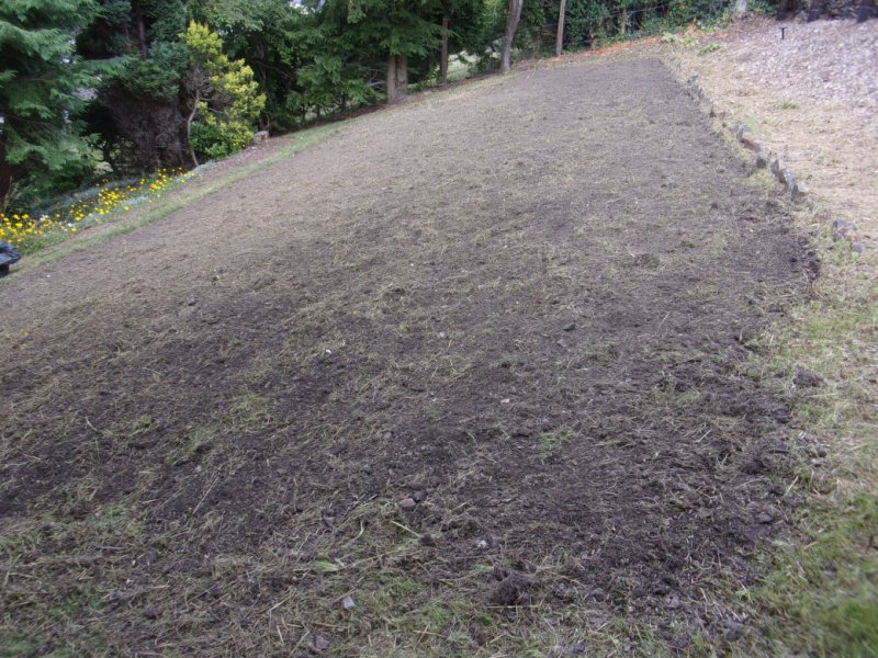 19 August 2021_0002.JPG