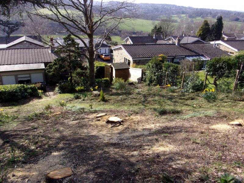 19 March 2022_0002.JPG