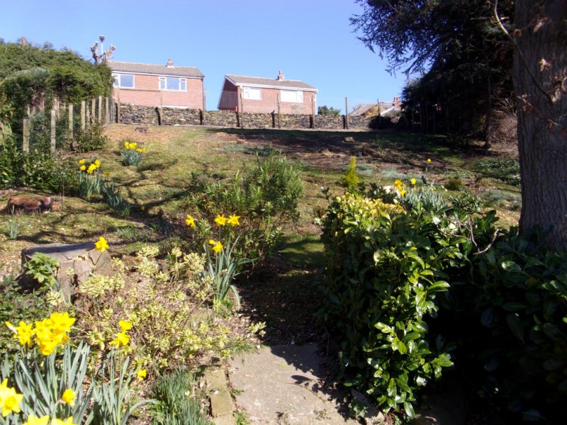 19 March 2022_0003.JPG