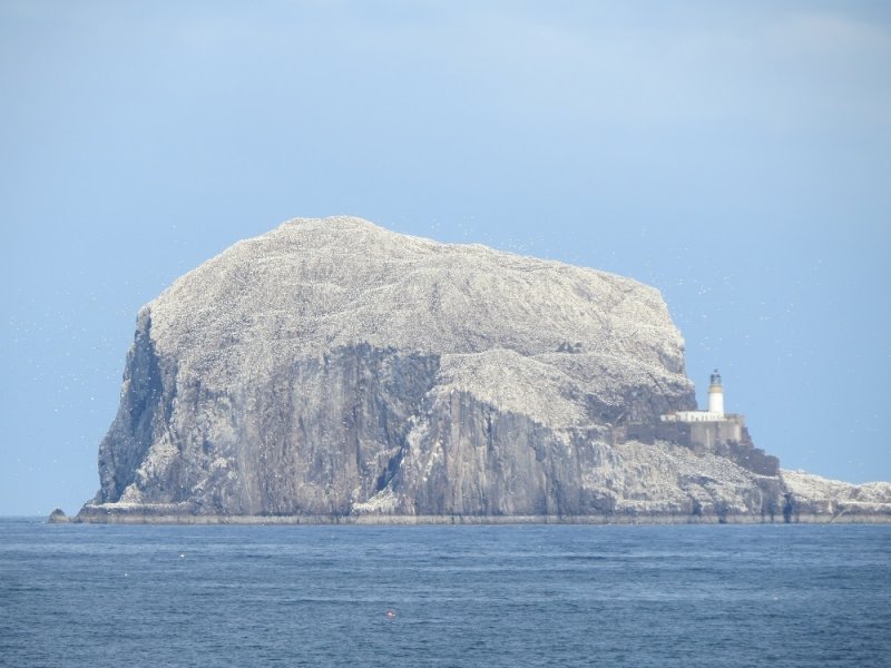 194 Bass Rock.JPG