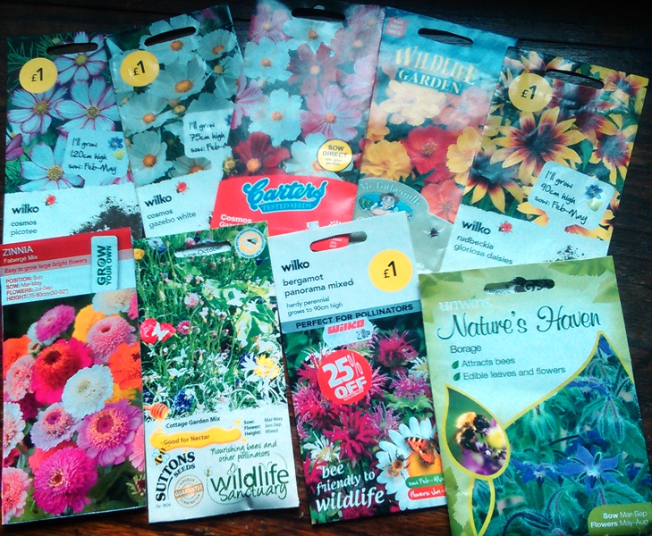 1A-SEEDS IMAG2595.jpg