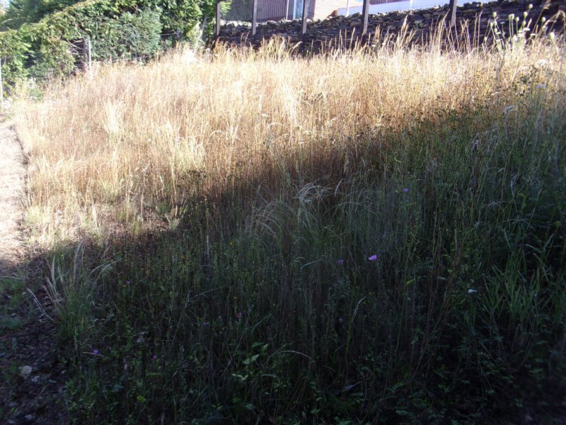 1st Aug 2022_0001.JPG