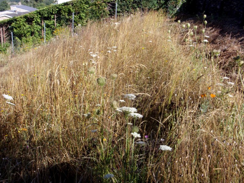 1st Aug 2022_0003.JPG