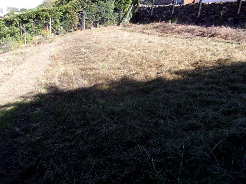 1st Aug 2022_0004.JPG