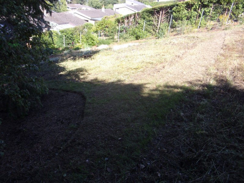 1st Aug 2022_0005.JPG