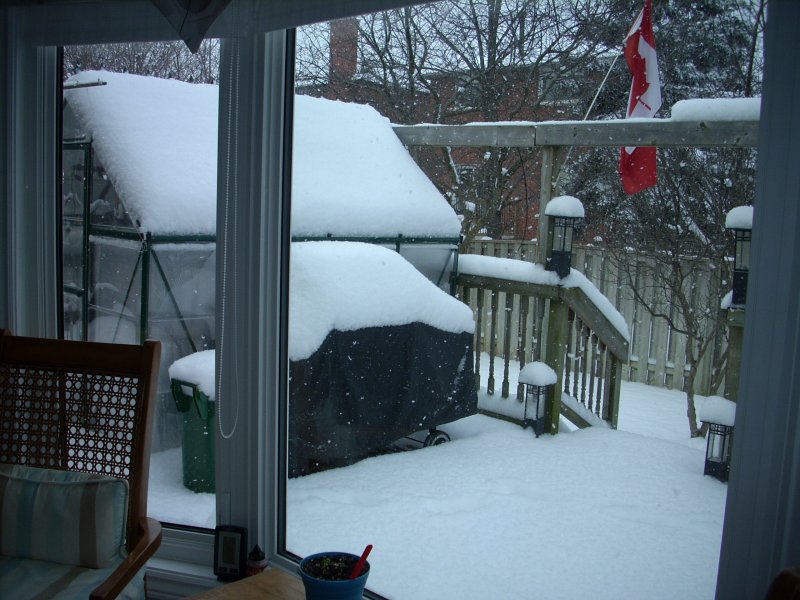 2007-01-01 00.00.00-33 (3).jpg