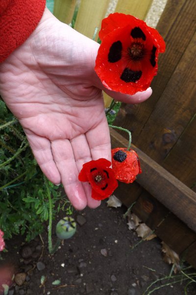 2012-01-01 00.17.52.jpg