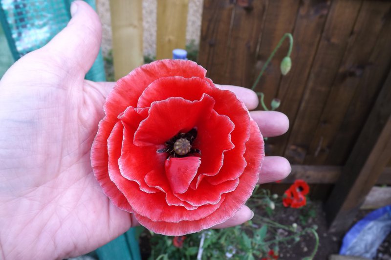 2012-01-06 01.02.19.jpg