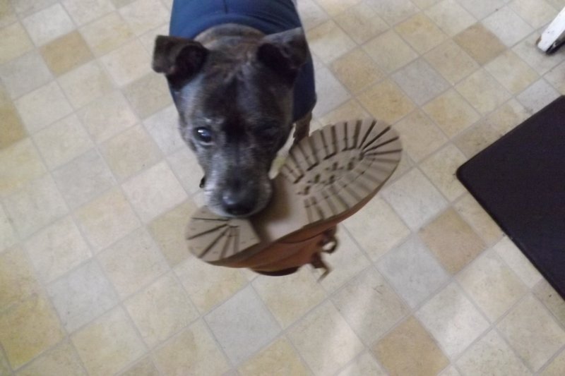 2012-01-11 22.17.23.jpg