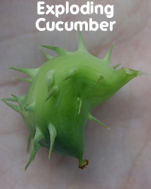 2012-01-18 14.10.35-1.jpg