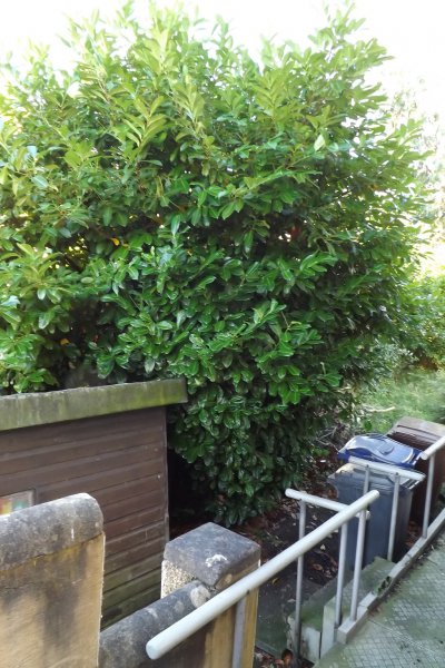 2012-03-01 21.53.55.jpg