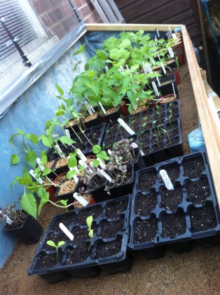 2012-03-29 19.04-sml.jpg