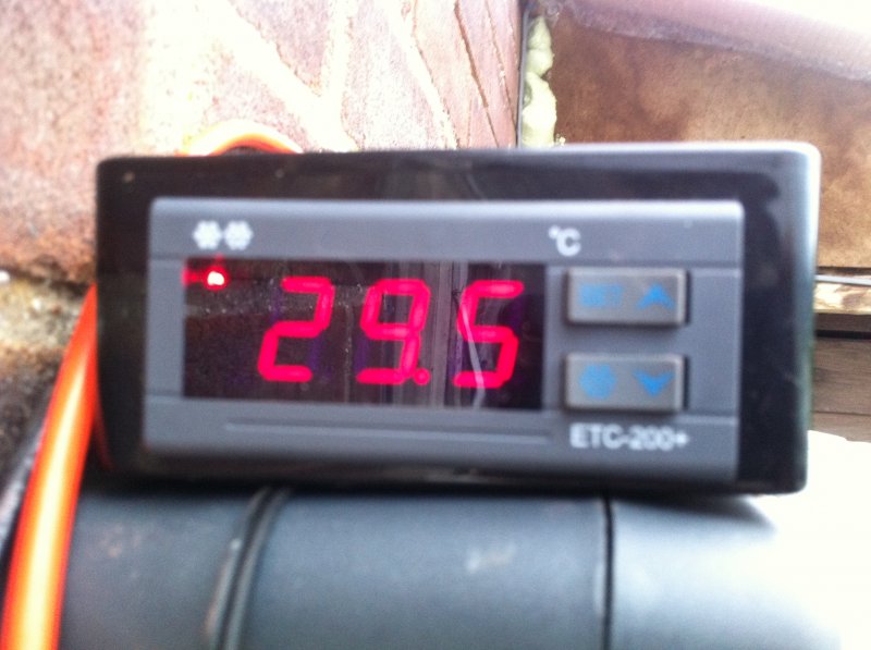 2012-04-25 13.19.25.jpg