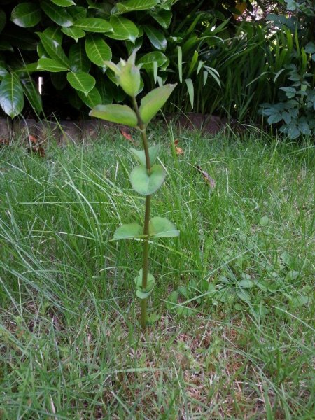 2012-06-28 19.33.31.jpg