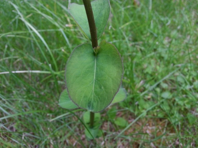 2012-06-28 19.35.16.jpg