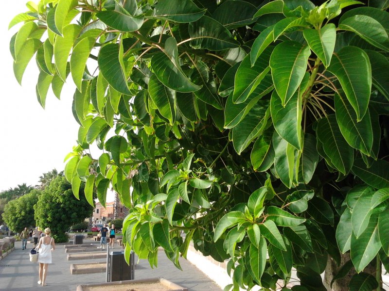 2012-07-27 19.02.06.jpg