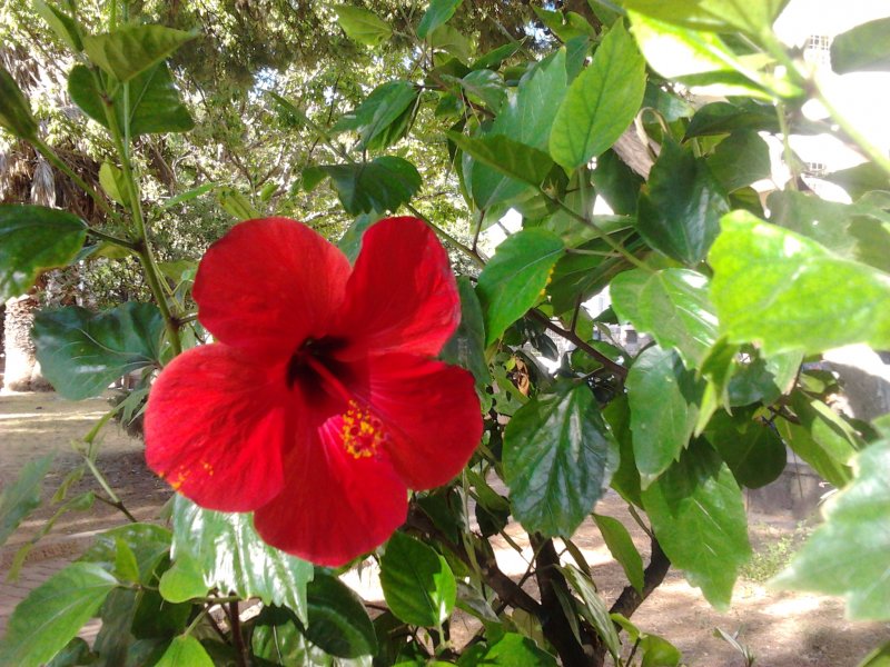 2012-08-01 18.13.10.jpg