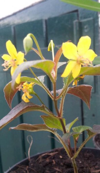 2012-08-04 15.11.34-1.jpg