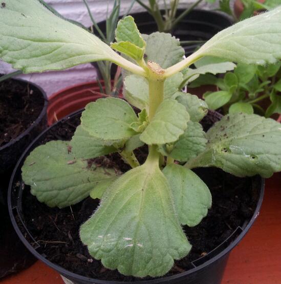 2012-08-04 15.11.58-1.jpg