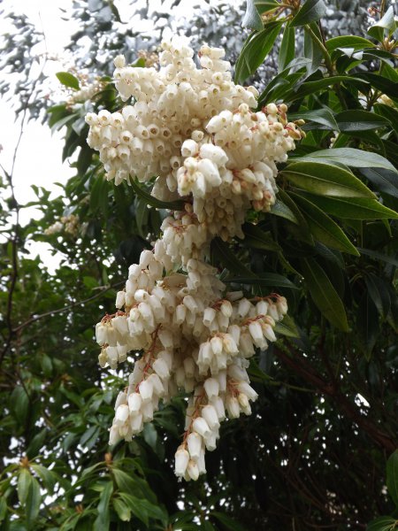 2012-09-14 21.52.44.jpg