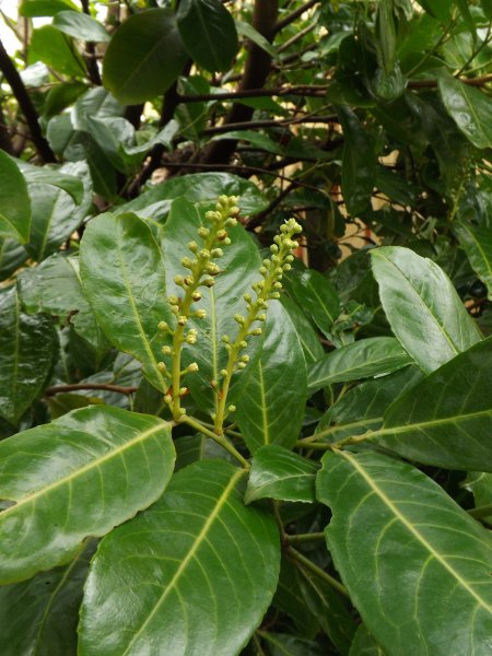 2012-09-14 21.55.19.jpg