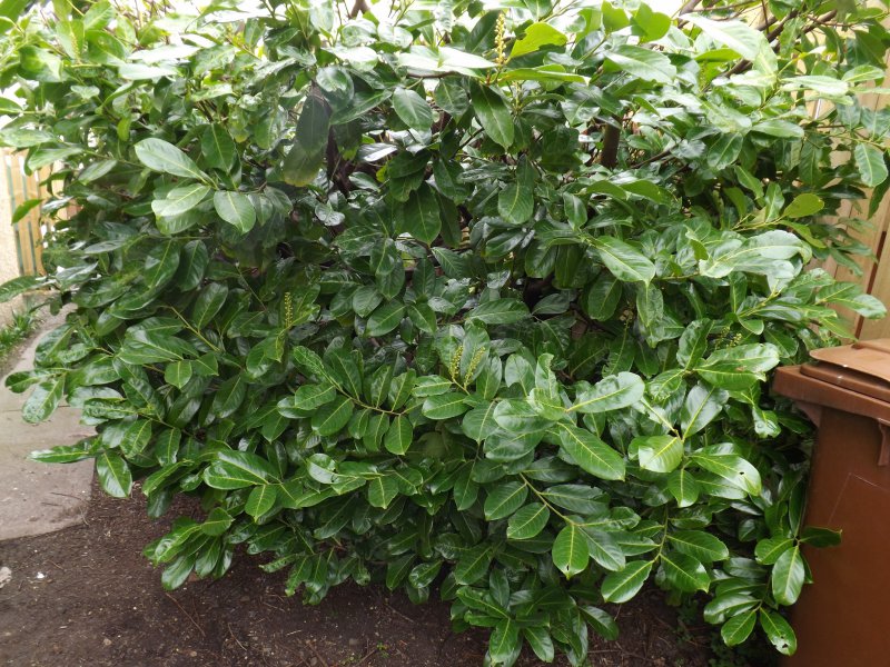 2012-09-14 21.55.32.jpg