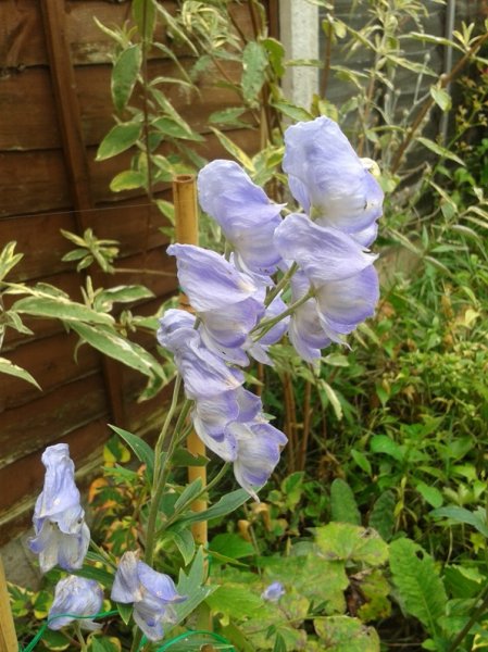 2012-09-27 14.23.30.jpg