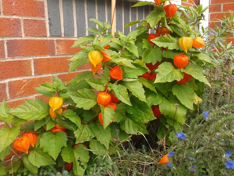 2012-09-27 14.28.02.jpg