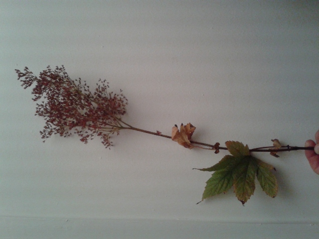 2012-10-07 19.55.08small.jpg