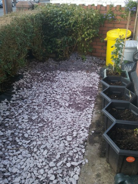 2012-11-14 14.58.28.jpg